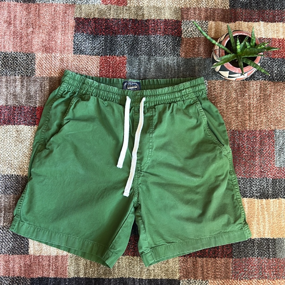 J.Crew Drawstring Shorts (Green)